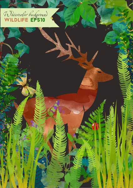 Ormandaki suluboya geyik — Stok Vektör