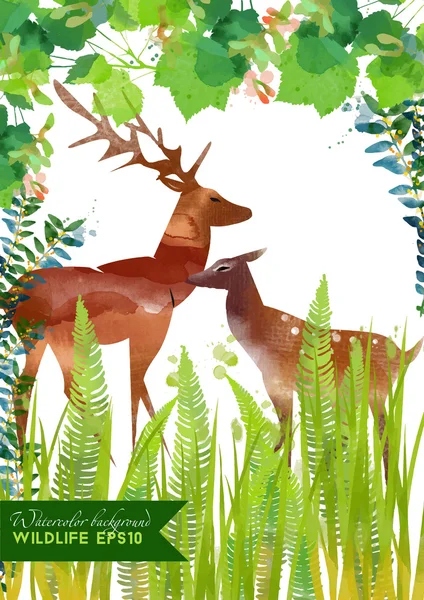 Aquarell Hirsch im Wald — Stockvektor