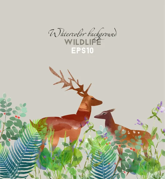 Cerfs aquarelle en forêt — Image vectorielle