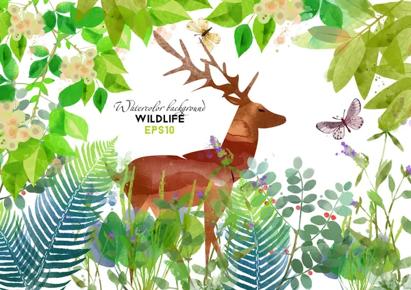 Watercolor deer in forest — Stock Vector