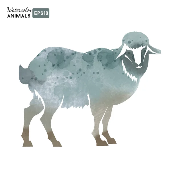 Acuarela oveja animal — Vector de stock