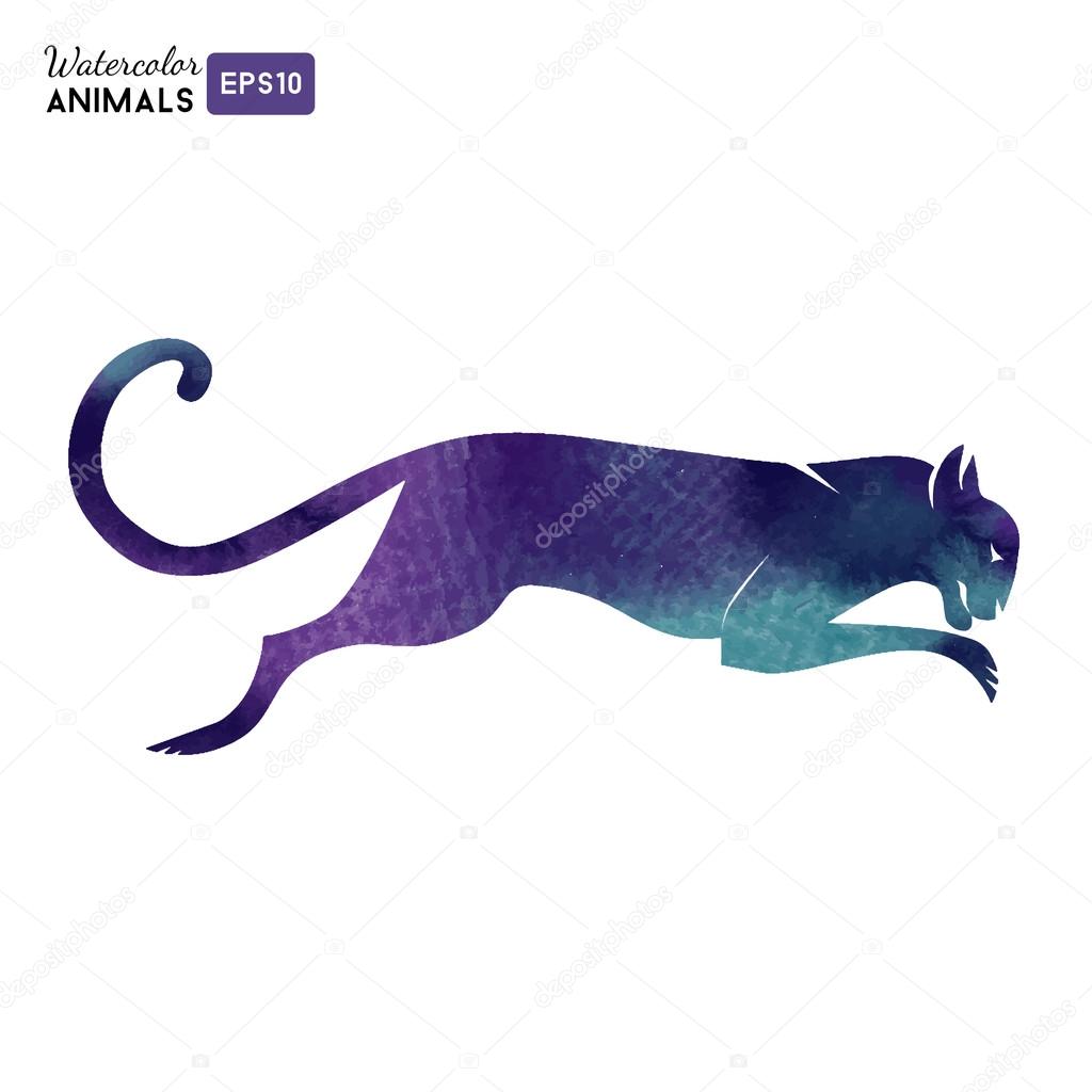 Watercolor panther  animal vector illustration isolated on white background