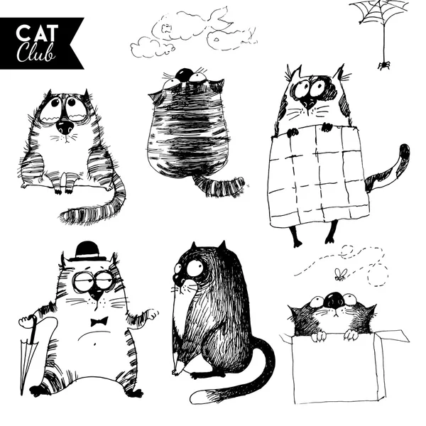 cats karakter kümesi