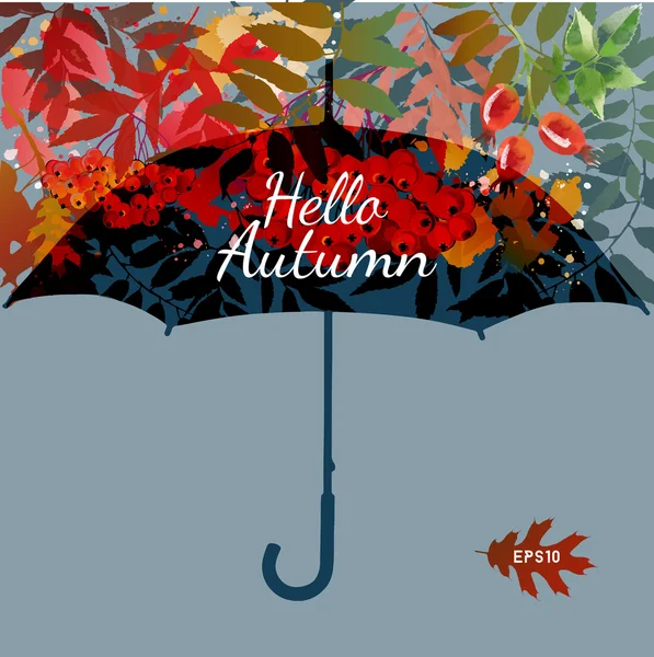 Hej hösten. illustration av paraply — Stock vektor