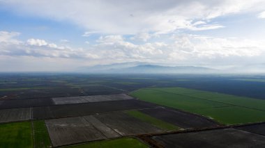 Mavi, bulutlu gökyüzünün altında yeşil otlarla dolu bir arazinin güzel panoramik bir görüntüsü..