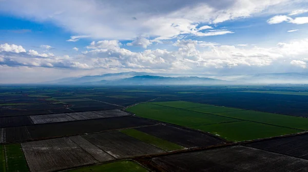 Mavi, bulutlu gökyüzünün altında yeşil otlarla dolu bir arazinin güzel panoramik bir görüntüsü..