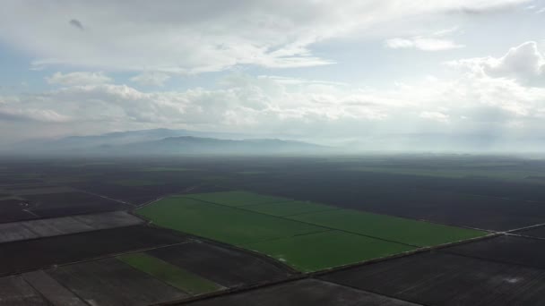 Un plano panorámico de un paisaje lleno de hierba. — Vídeos de Stock