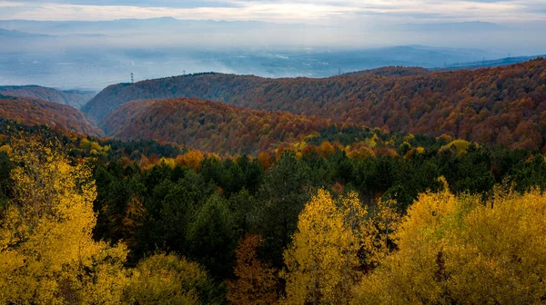 Prachtig herfstlandschap in het bos van hendek in Turkije — Stockfoto