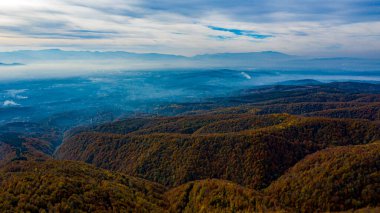 Sonbaharda ormanda güzel bir yol manzarası.