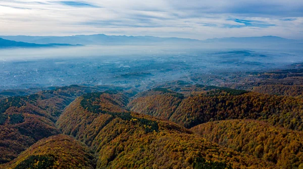 Sonbaharda ormanda güzel bir yol manzarası.