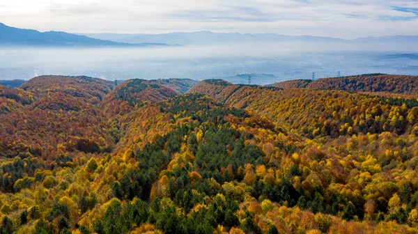 Sonbaharda ormanda güzel bir yol manzarası.