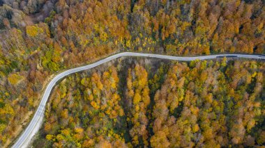 Ormandan geçen yol bir İHA ile havadan vuruldu.. 