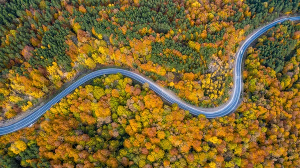 Ormandan geçen yol bir İHA ile havadan vuruldu.. 