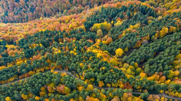 Hermoso paisaje otoñal en el bosque de hendek en Turquía — Foto de Stock