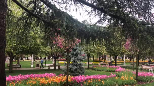 Yang paling indah tulip video istanbul — Stok Video