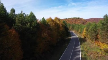 İnsansız hava aracıyla güzel bir sonbahar manzarası videosu