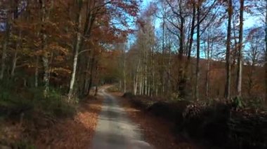 İnsansız hava aracıyla güzel bir sonbahar manzarası videosu