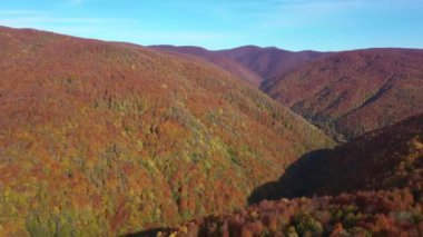 İnsansız hava aracıyla güzel bir sonbahar manzarası videosu