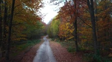 İnsansız hava aracıyla güzel bir sonbahar manzarası videosu