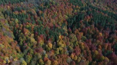 İnsansız hava aracıyla güzel bir sonbahar manzarası videosu