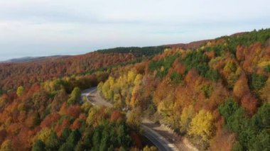 İnsansız hava aracıyla güzel bir sonbahar manzarası videosu