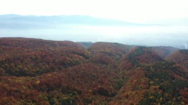 İnsansız hava aracıyla güzel bir sonbahar manzarası videosu