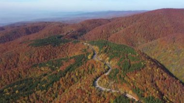 İnsansız hava aracıyla güzel bir sonbahar manzarası videosu