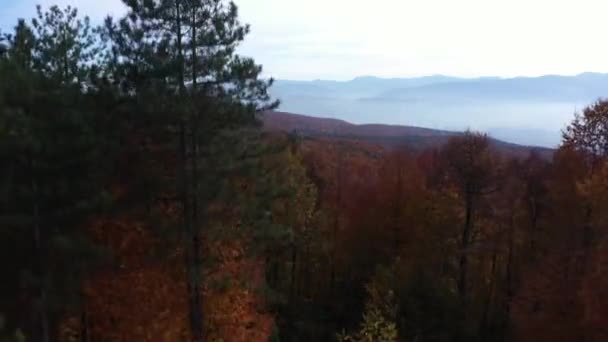 Belle vidéo de paysage d'automne avec drone — Video