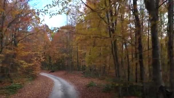 Gyönyörű őszi táj videó drón — Stock videók