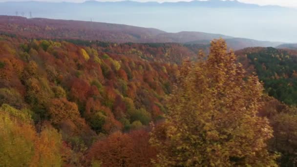 Krásné podzimní krajina video s drone — Stock video