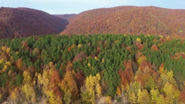 Indah musim gugur video lanskap dengan drone — Stok Video