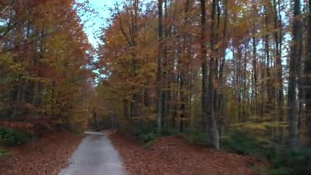 Όμορφο φθινόπωρο τοπίο βίντεο με drone — Αρχείο Βίντεο