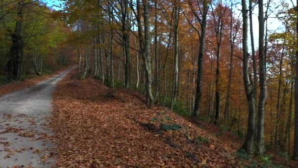 Schöne Herbst Landschaft Video mit Drohne — Stockvideo