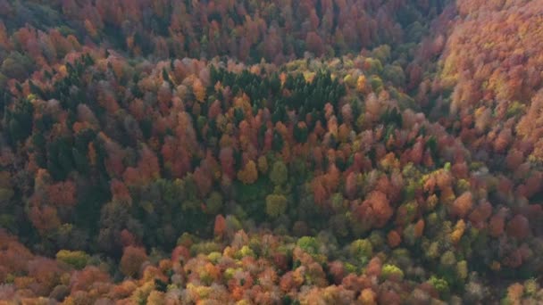 Gyönyörű őszi táj videó drón — Stock videók