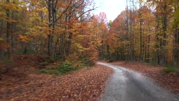 Schöne Herbst Landschaft Video mit Drohne — Stockvideo