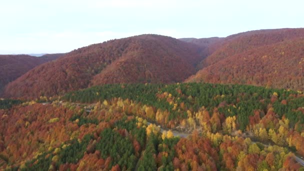 Schöne Herbst Landschaft Video mit Drohne — Stockvideo