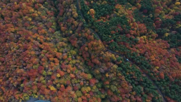 Belle vidéo de paysage d'automne avec drone