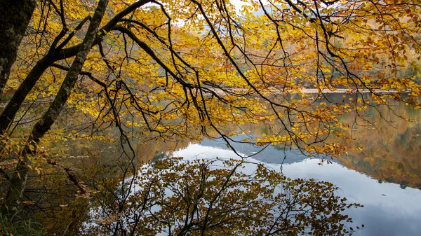 Belle et vibrante photo de feuilles d'automne à Yedigoller en Turquie. — Photo