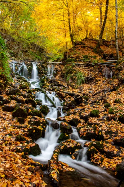 Bir şelalenin yüksek kaliteli fotoğrafı. — Stok fotoğraf