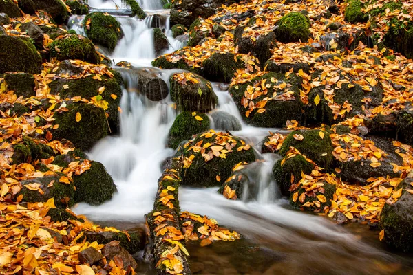 High quality photo of a waterfall. — Stock Photo, Image