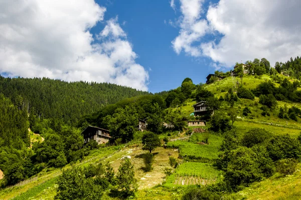 Üzerinde yerleşim alanları olan eşsiz bir dağ manzarası ağaçlarla dolu mükemmel bir panoramik manzara..