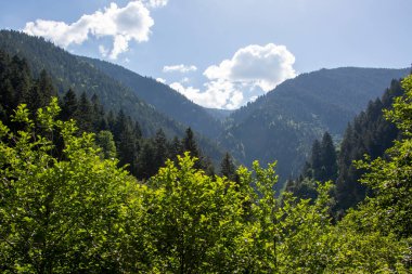 Türkiye 'de yeşil ağaçlarla süslenmiş dağların ender ve etkileyici manzarası. Bulutlu gökyüzü ile buluşarak, inanılmaz bir sahne yaratıyor..
