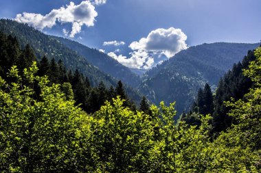 Türkiye 'de yeşil ağaçlarla süslenmiş dağların ender ve etkileyici manzarası. Bulutlu gökyüzü ile buluşarak, inanılmaz bir sahne yaratıyor..
