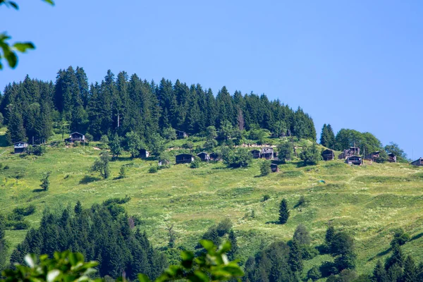 Zeldzaam en indrukwekkend uitzicht op de bergen in Turkije versierd met groene bomen. Door een ontmoeting met bewolkte lucht, creëert het een verbazingwekkende scène. — Stockfoto