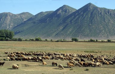 İnsanların olmadığı, yeşilin hakim olduğu eşsiz bir doğal manzara. Yüksek dağların görkemli manzarası. Yeşilin gölgelerinin ahengi.
