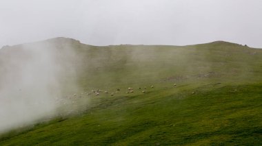 High resolution misty mountain landscape without people with space above for texts.