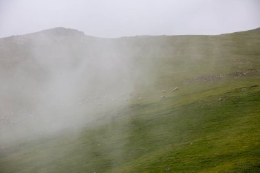 High resolution misty mountain landscape without people with space above for texts.