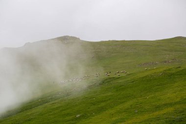 High resolution misty mountain landscape without people with space above for texts.