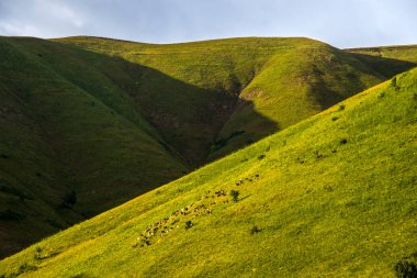 Yüksek çözünürlüklü yüksek çözünürlüklü dağ manzaralarının muhteşem insansız hava aracı görüntüsü. Doğal güzelliğin en iyi örneklerinden biri..