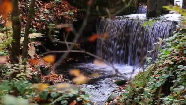 Un paisaje fascinante de una cascada — Vídeos de Stock